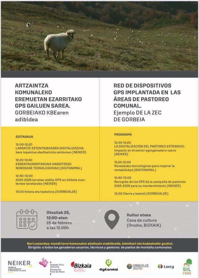 637718326 1412947320627271 1552023640319002662 n