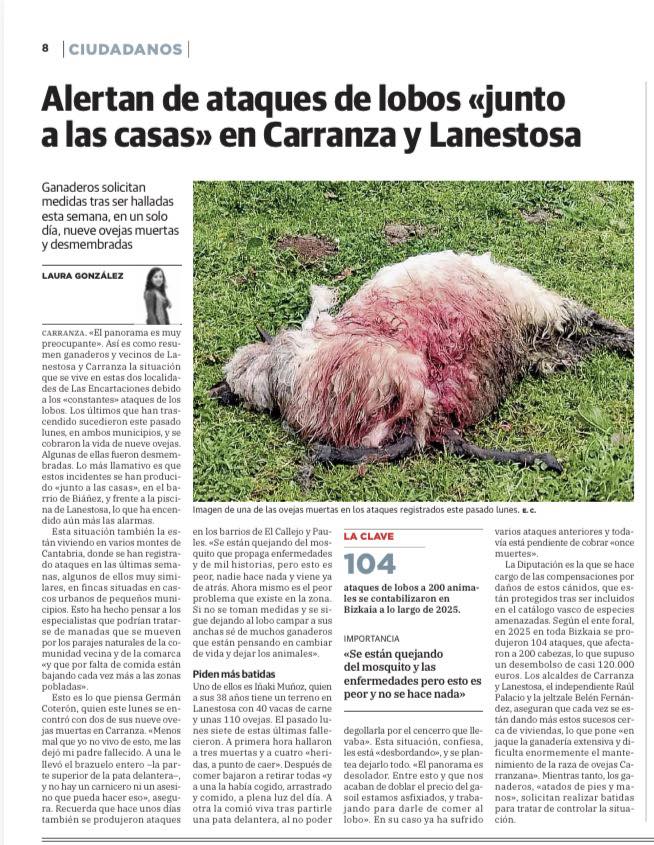 649148417 1429468798975123 5966238748026264847 n