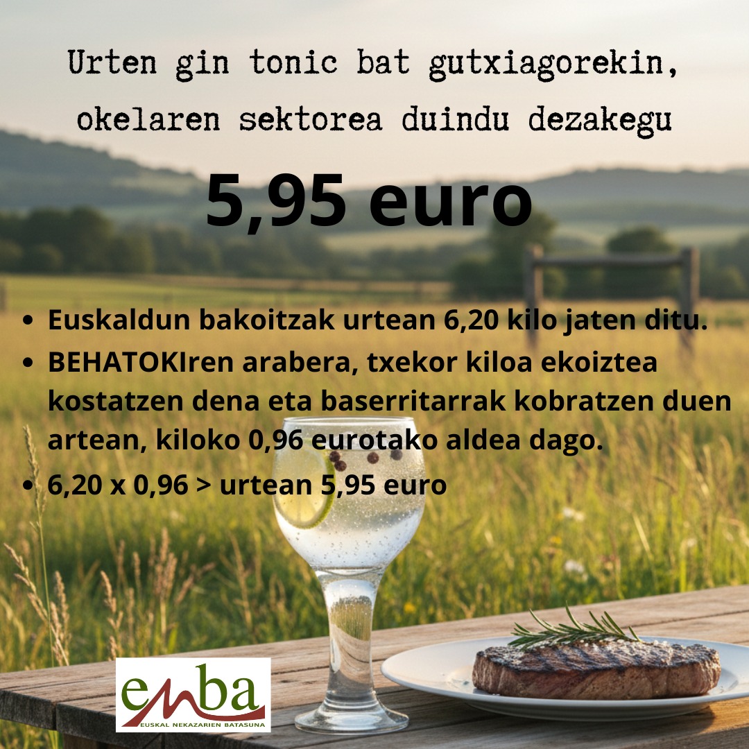 WhatsApp Image 2026 03 04 at 15.49.51