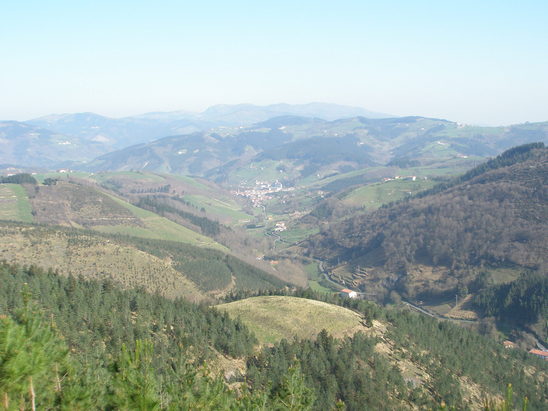 ENBA erta EHNE sindikatuok Basozainak baserritarron alde eta gure ogibidea erraztu eta bideratzeko jokabidean nahi ditugu