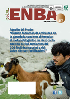 ENBA.Aldizkaria 217