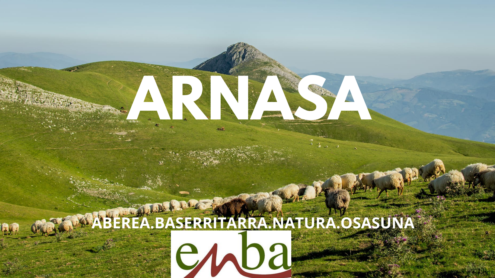 ARNASA