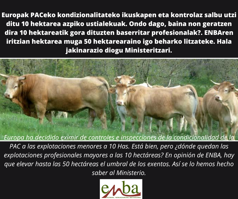 PAC.salbuetsita