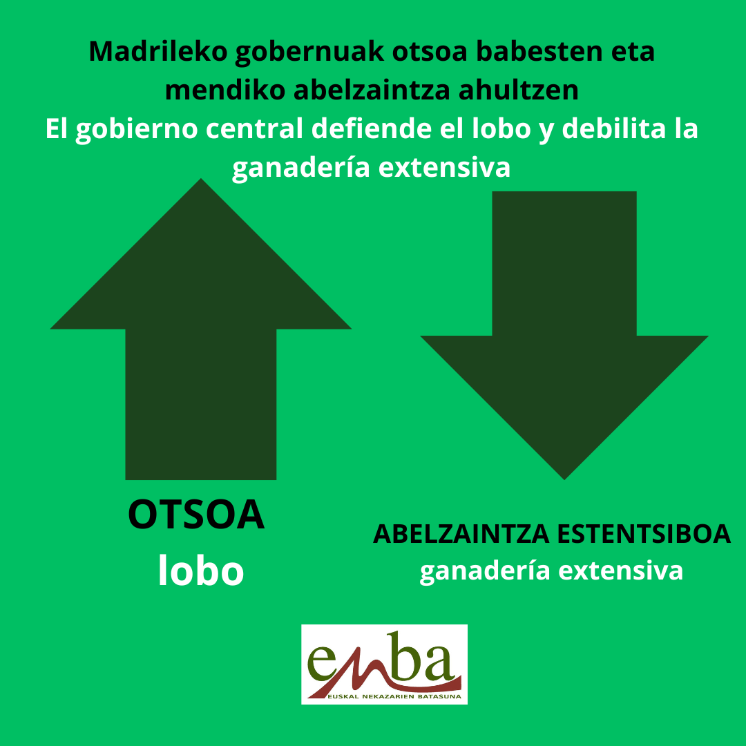 otsoagora 1