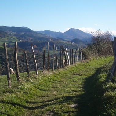 Asesoría jurídica y fiscal